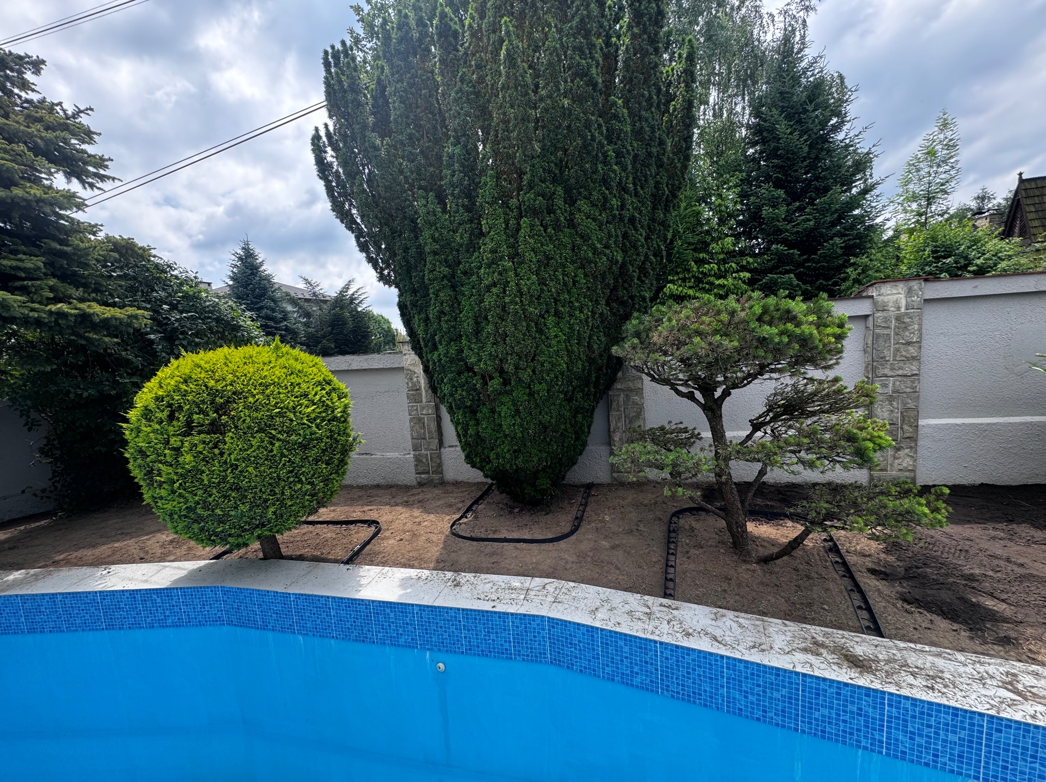 Nowo posadzone drzewa iglaste i krzewy w ogrodzie obok basenu, zabezpieczone obrzeżami trawnikowymi, świeżo przygotowana ziemia.