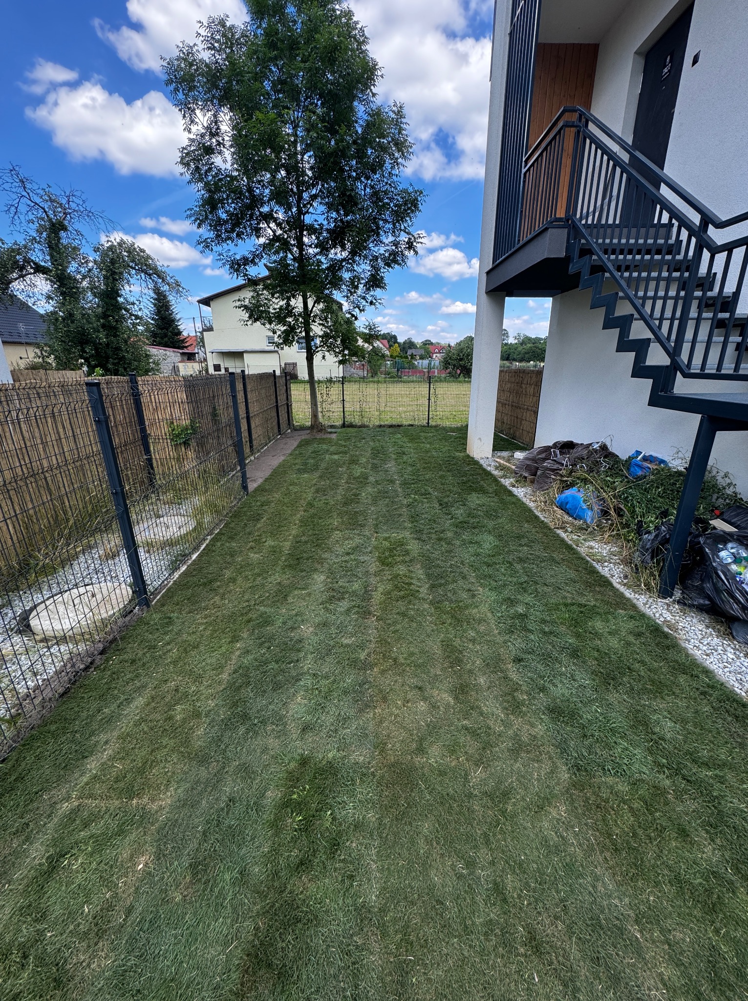 Świeżo ułożony trawnik z rolki przylegający do nowoczesnego budynku z metalowymi schodami zewnętrznymi, widoczne worki z odpadami ogrodowymi przy ścianie, ogrodzenie z siatki i maty bambusowej w tle.