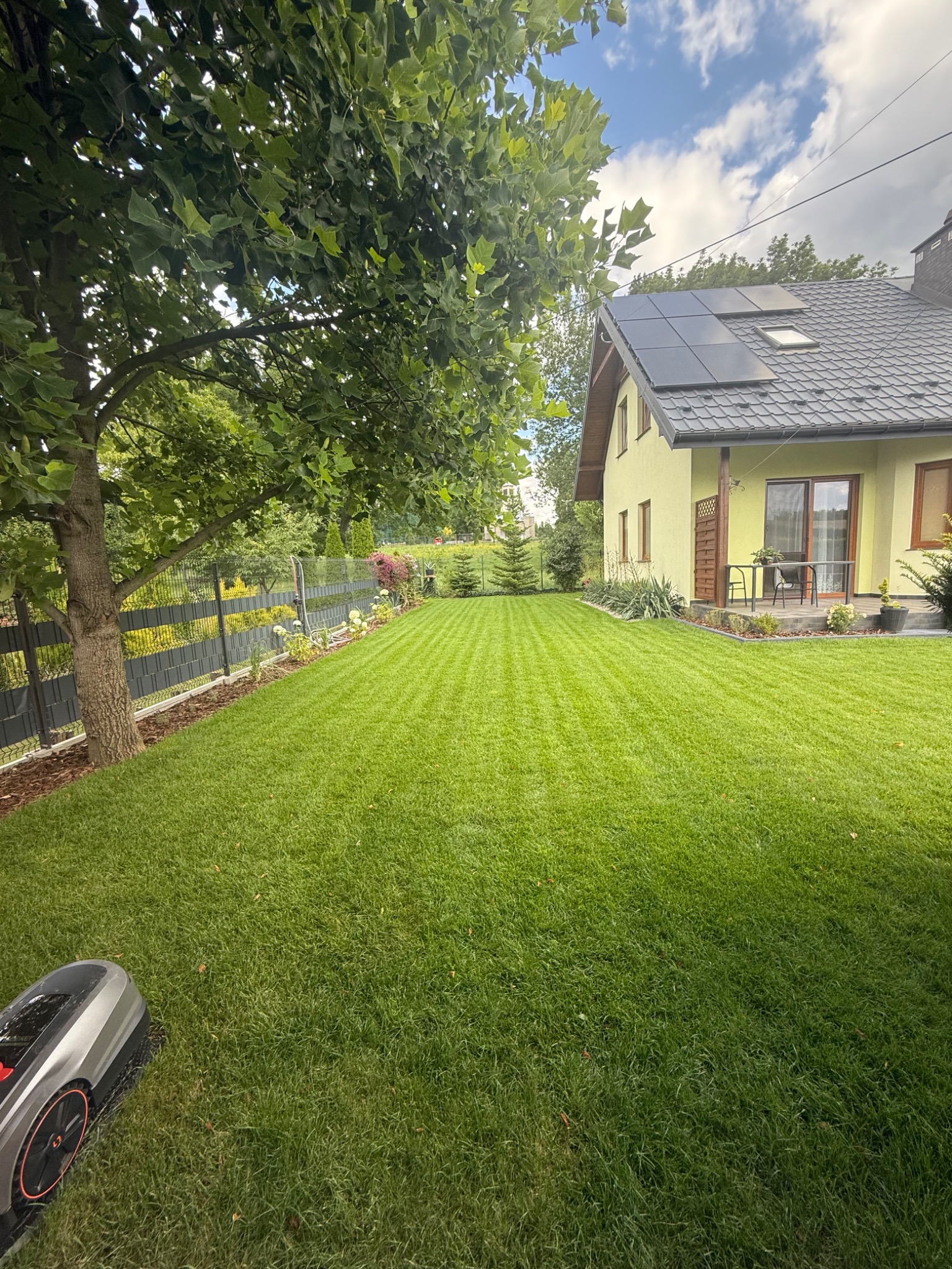 Perfekcyjnie skoszony trawnik z widocznymi pasami, przylegający do domu z panelami słonecznymi na dachu. W tle drzewa i ogrodzenie, a w rogu widoczny robot koszący.