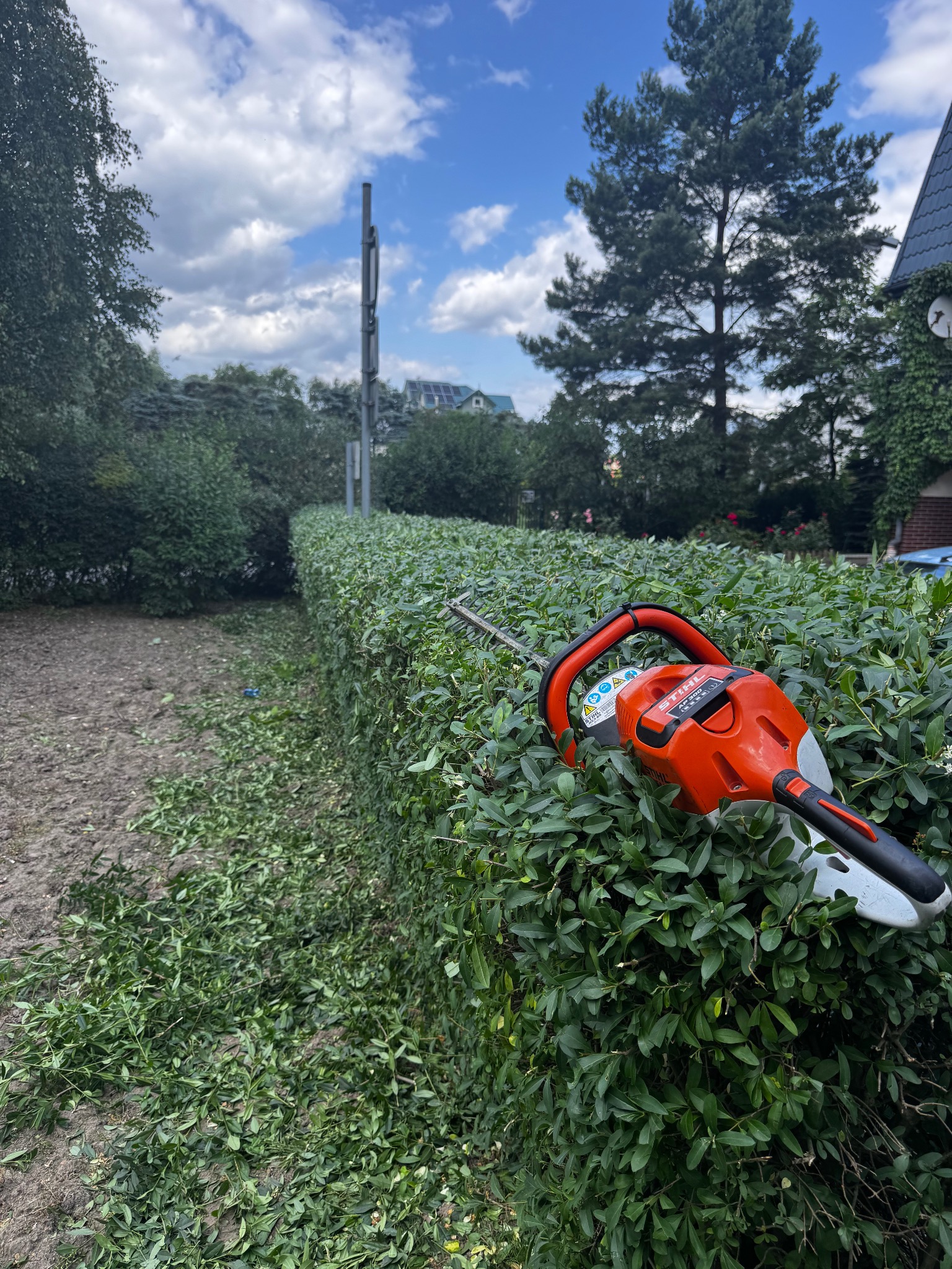 Przycinanie żywopłotu elektrycznymi nożycami Stihl. Obok żywopłotu leżą obcięte gałązki. W tle drzewa i budynek z dachem pokrytym dachówką.