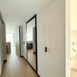 Baufirma Karpowicz - Nowoczesny korytarz z lustrem w czarnej ramie i drewnianą podłogą. Minimalistyczne oświetlenie ścienne. Widok na salon z jasnymi meblami i balkon.