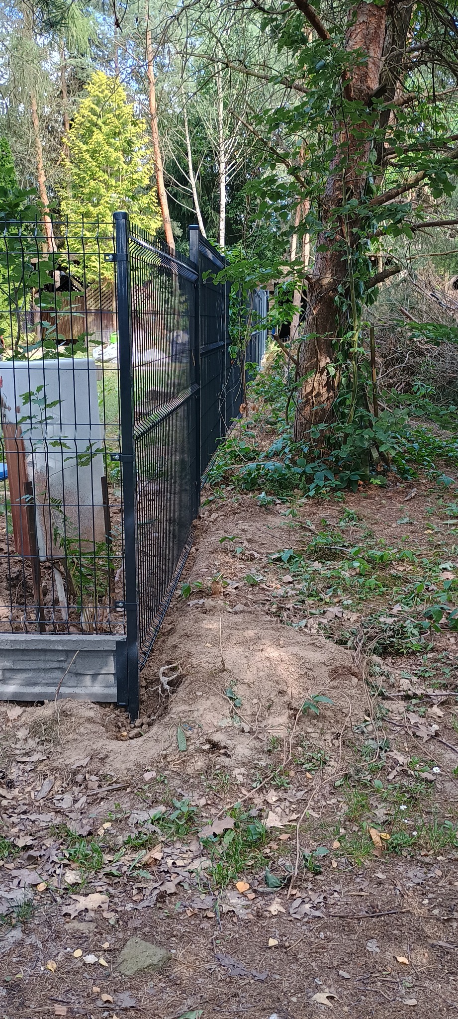 Fragment nowo postawionego, panelowego ogrodzenia w kolorze grafitowym, z betonową podmurówką, na tle leśnej działki z drzewami i liśćmi.