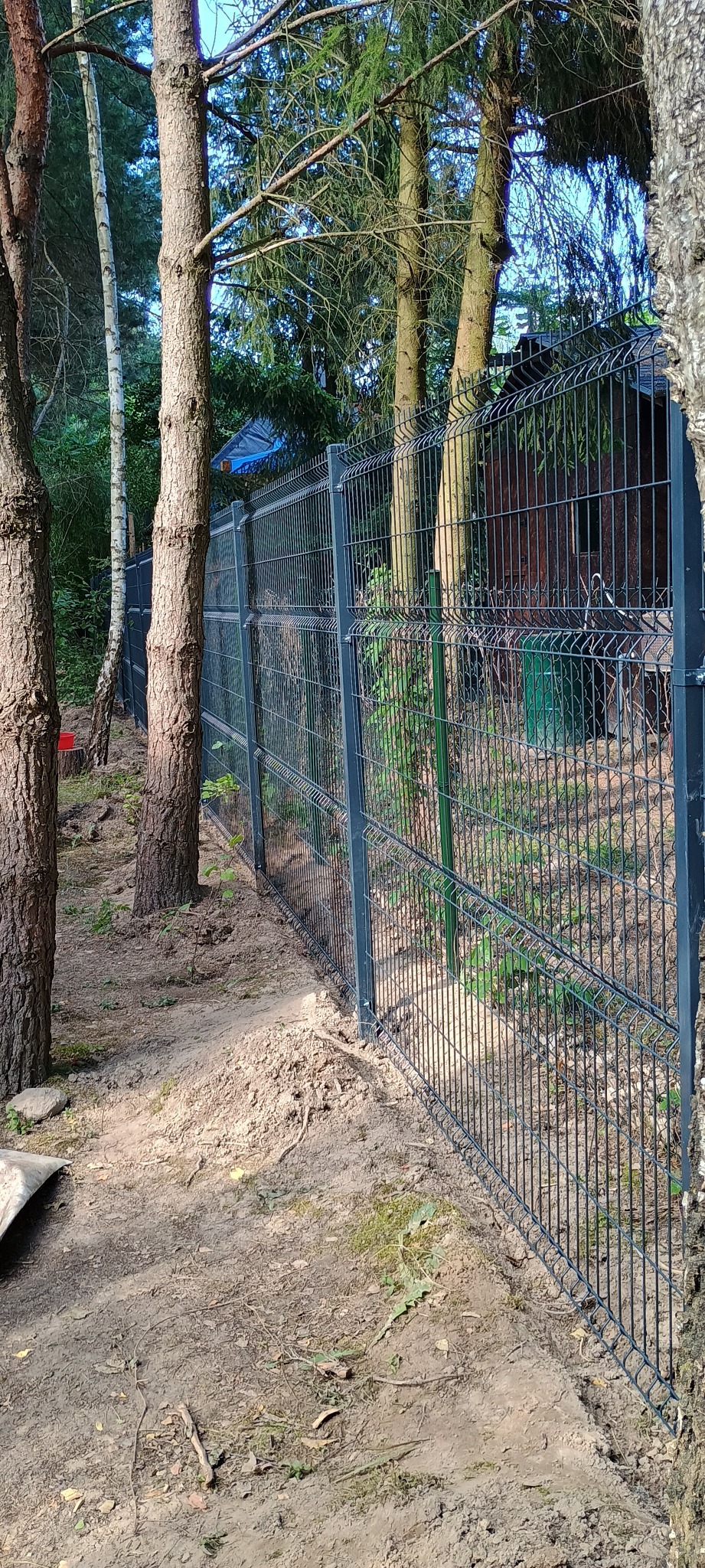 Nowoczesne, antracytowe ogrodzenie panelowe zgrzewane, zamontowane wzdłuż granicy działki porośniętej drzewami iglastymi i liściastymi, widoczne z bliskiej perspektywy.