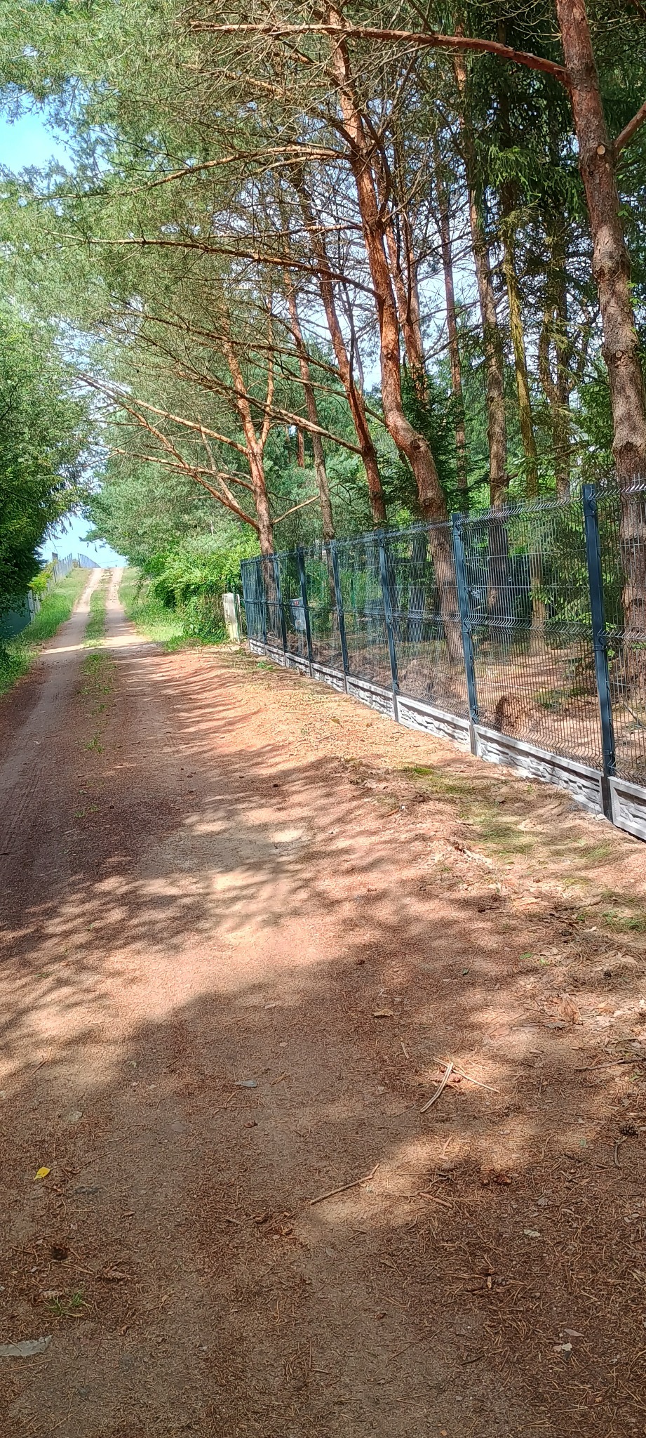 Długa, prosta droga gruntowa z widocznym śladem opon, biegnąca wzdłuż zainstalowanego, nowoczesnego ogrodzenia panelowego z podmurówką, otoczonego drzewami iglastymi i liściastymi.