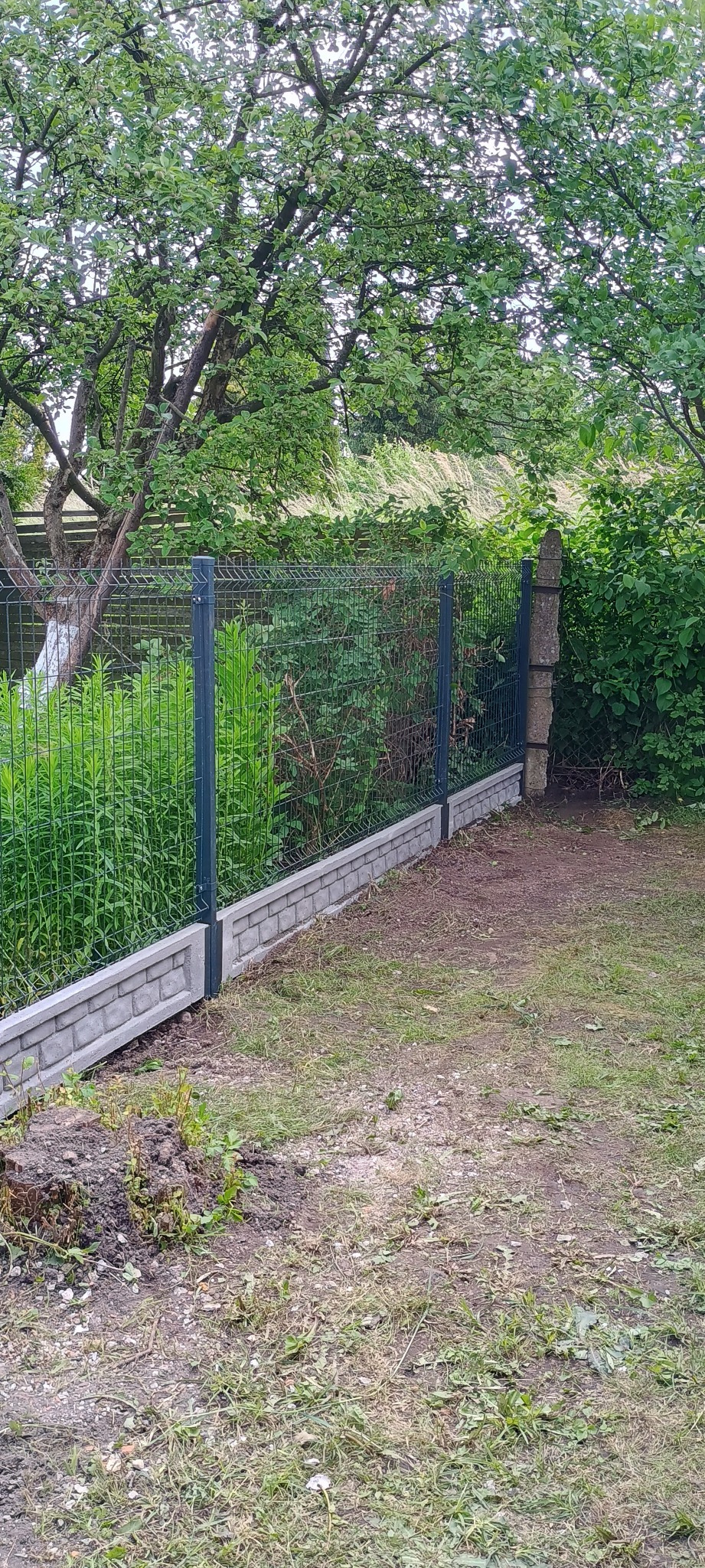 Nowoczesne ogrodzenie panelowe z podmurówką imitującą cegłę, na tle bujnej zieleni ogrodu.