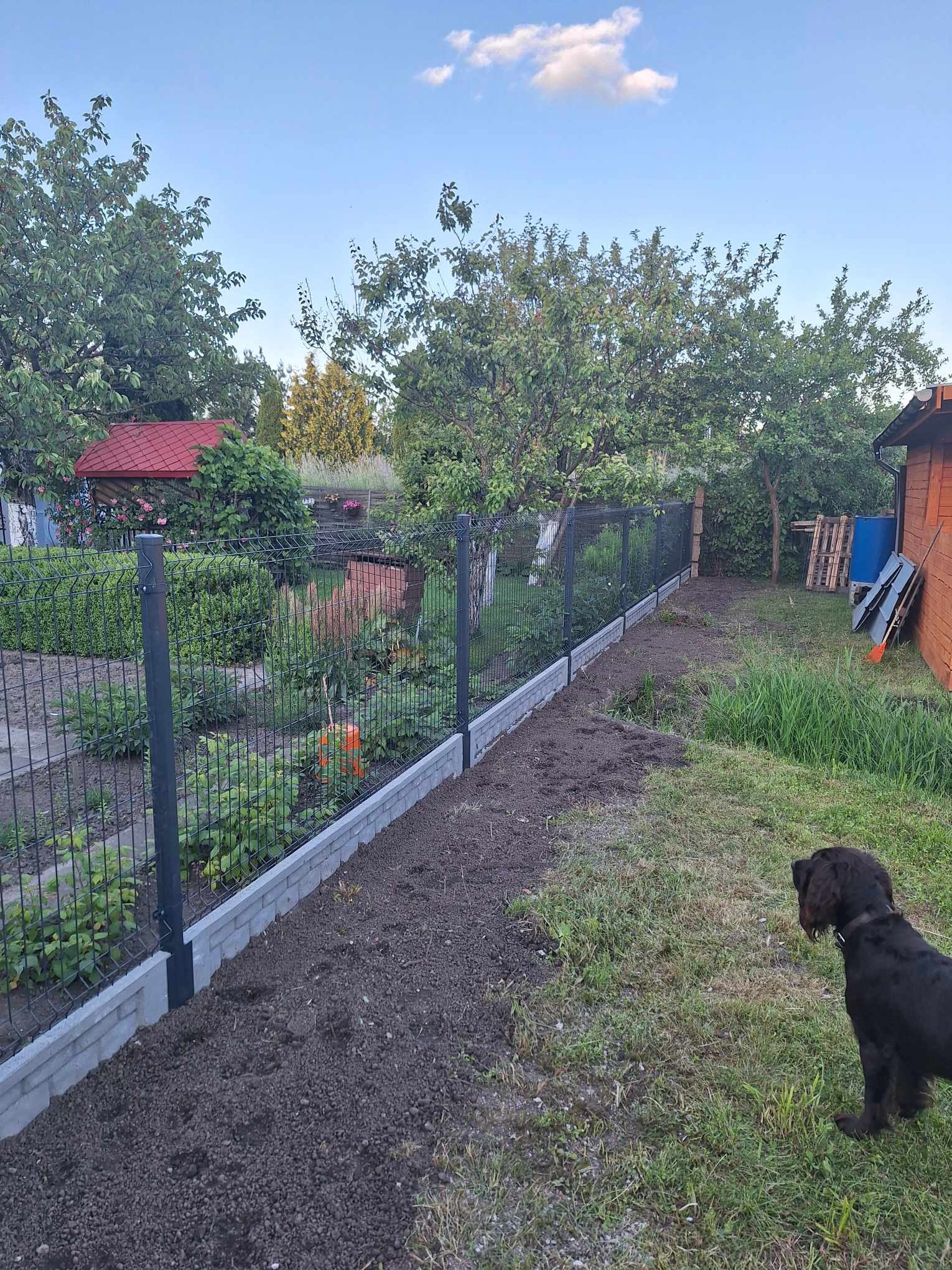 Nowo postawione, panelowe ogrodzenie z podmurówką z szarej kostki, widok na ogród z drzewami i zabudowaniami, w prawym dolnym rogu pies rasy spaniel.