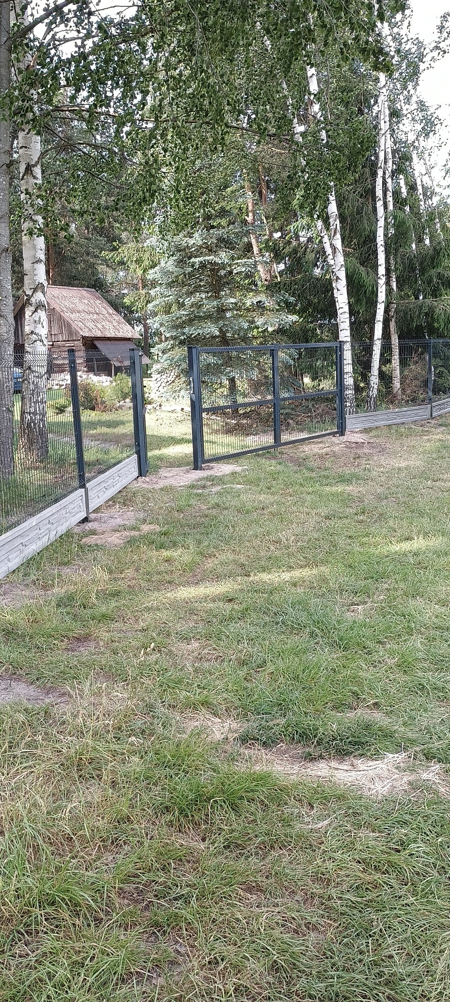 Nowoczesne, metalowe ogrodzenie panelowe w kolorze grafitowym z otwartą furtką na tle zielonej trawy i drzew, w tym brzozy.