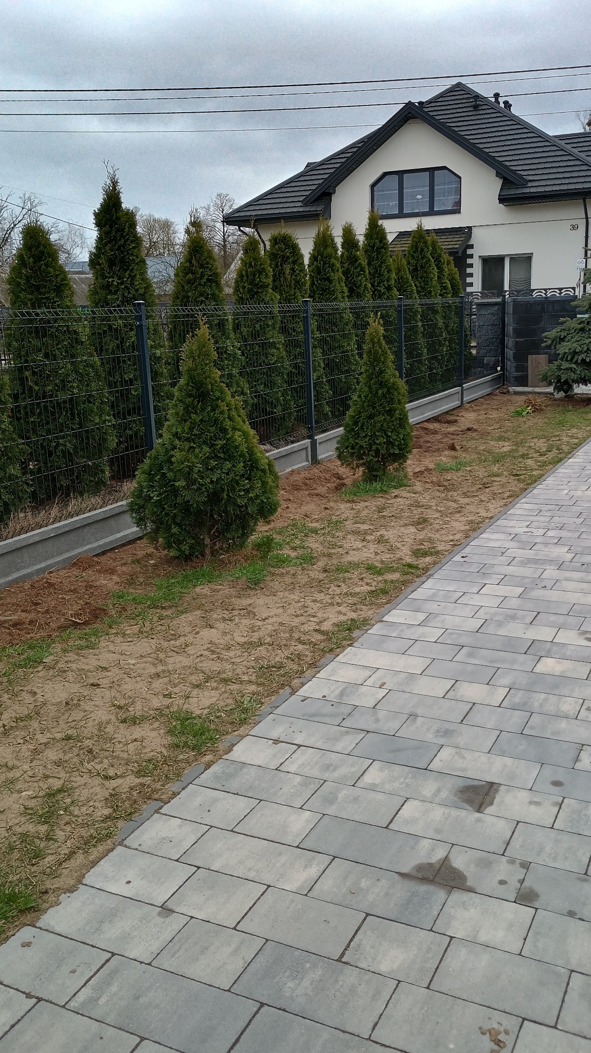Metalowe ogrodzenie panelowe z podmurówką, obsadzone tujami, oddziela posesję od chodnika z kostki brukowej. W tle dom z ciemnym dachem.