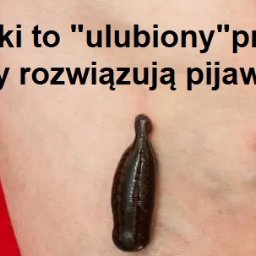 Medycyna naturalna Pabianice 2