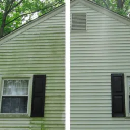 Porównanie elewacji domu przed i po czyszczeniu, widoczne usunięcie zielonego nalotu z sidingu, okno z czarnymi okiennicami.