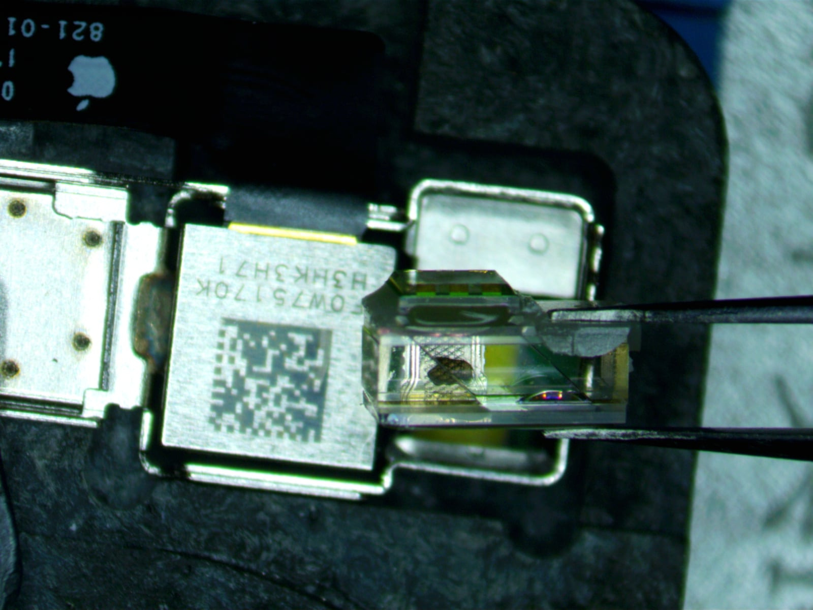 Makro zbliżenie na element elektroniczny z kodem QR i oznaczeniami, trzymany pęsetą, prawdopodobnie w trakcie diagnostyki lub naprawy pod mikroskopem.