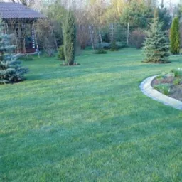 Usługi ogrodnicze, Zakładanie trawników