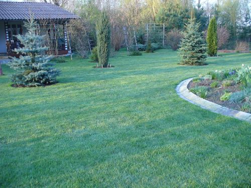 Usługi ogrodnicze, Zakładanie trawników