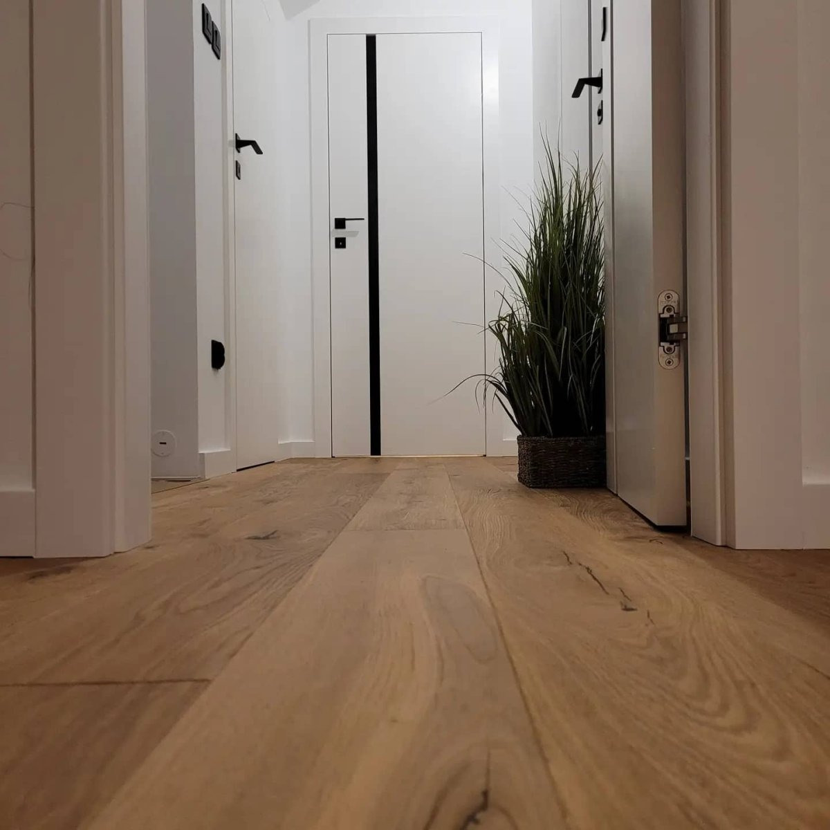 Nowoczesny korytarz z drewnianą podłogą ułożoną w deski, białe drzwi z czarnymi akcentami i minimalistycznymi klamkami, doniczka z zieloną rośliną, widok z niskiej perspektywy.