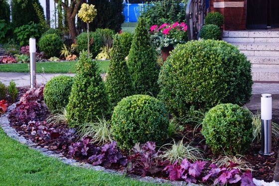 Ogród z równo przystrzyżonymi krzewami w kształcie kul i stożków, rabata obsadzona fioletowymi roślinami, obrzeże z kostki, oświetlenie ogrodowe w tle.
