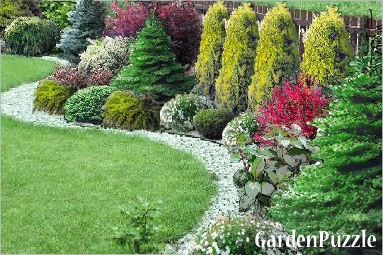 Urozmaicony ogród z krzewami, drzewami iglastymi i ścieżką z białego żwiru oddzielającą trawnik od rabat.