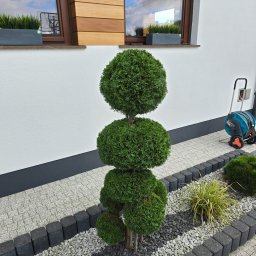 Krystian Kapcia - Przed domem Bochnia