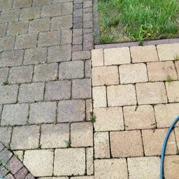 Wycinka drzew Bochnia 4