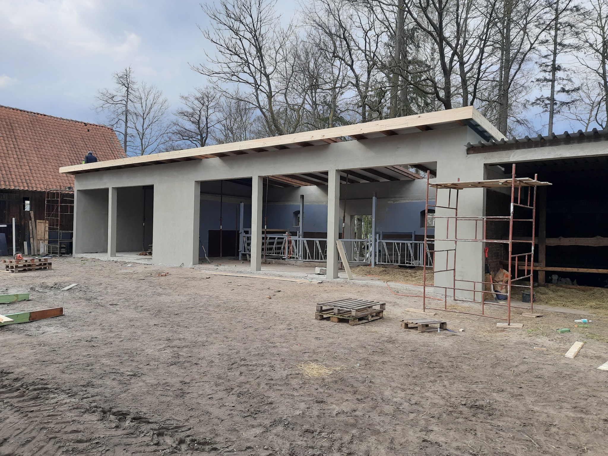 Surowa elewacja budynku gospodarczego w trakcie budowy, widoczne rusztowania, palety i częściowo wykończony dach, na dachu robotnik.