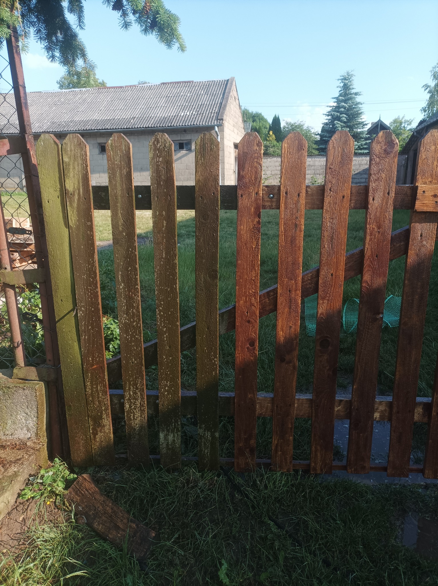 Drewniana furtka z pionowych desek, częściowo odnowiona, z widocznymi śladami starej farby i mchu, prowadząca do ogrodu z budynkiem gospodarczym w tle.