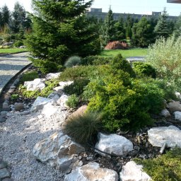 Zielony Zakątek - Ogród z różnorodnymi iglakami, kamieniami i żwirem, z widoczną ścieżką z kostki brukowej i budynkiem w tle.