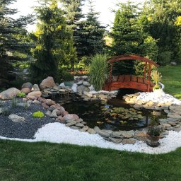 Renowacja oczka wodnego