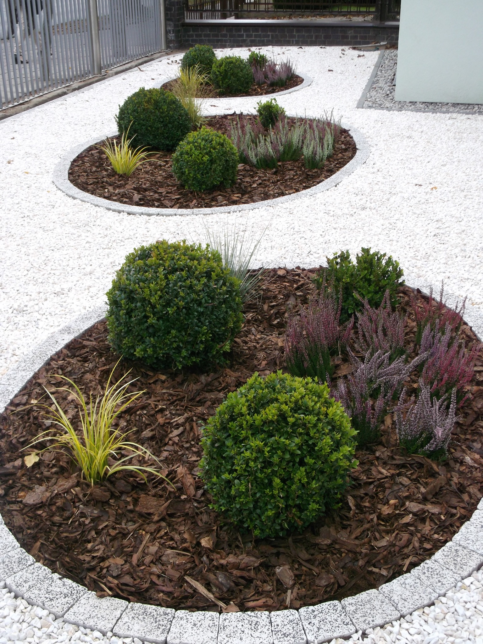 Okrągłe rabaty z bukszpanami, wrzosami i ozdobnymi trawami, wysypane korą, otoczone granitową kostką i białym grysem.