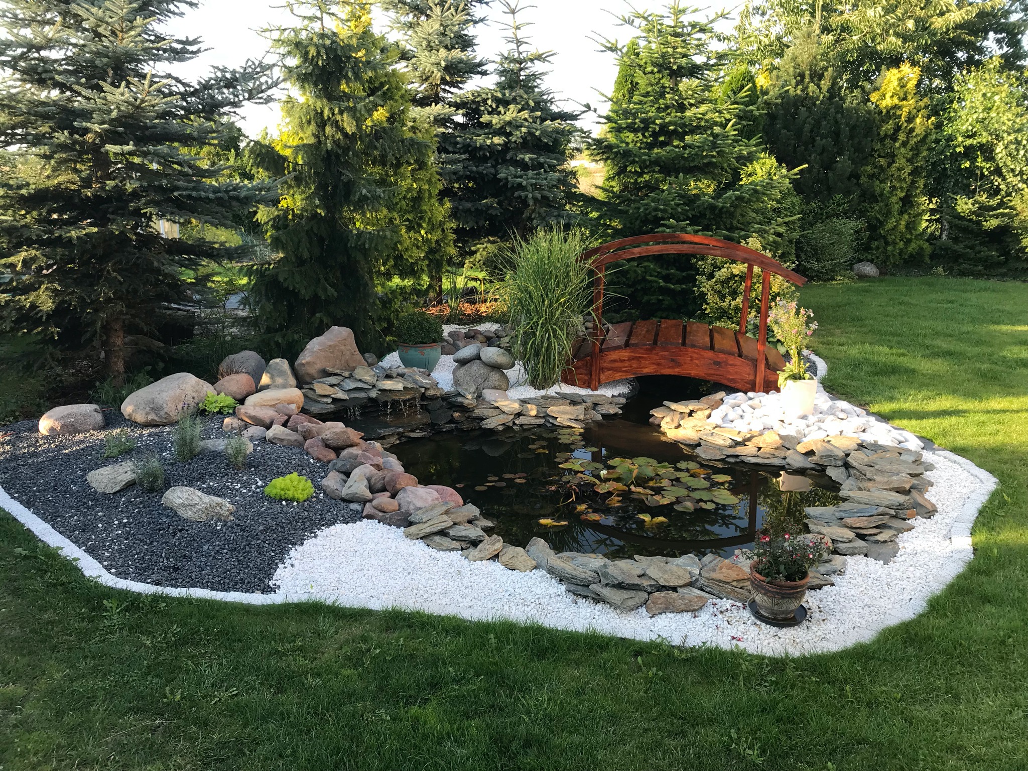 Renowacja oczka wodnego