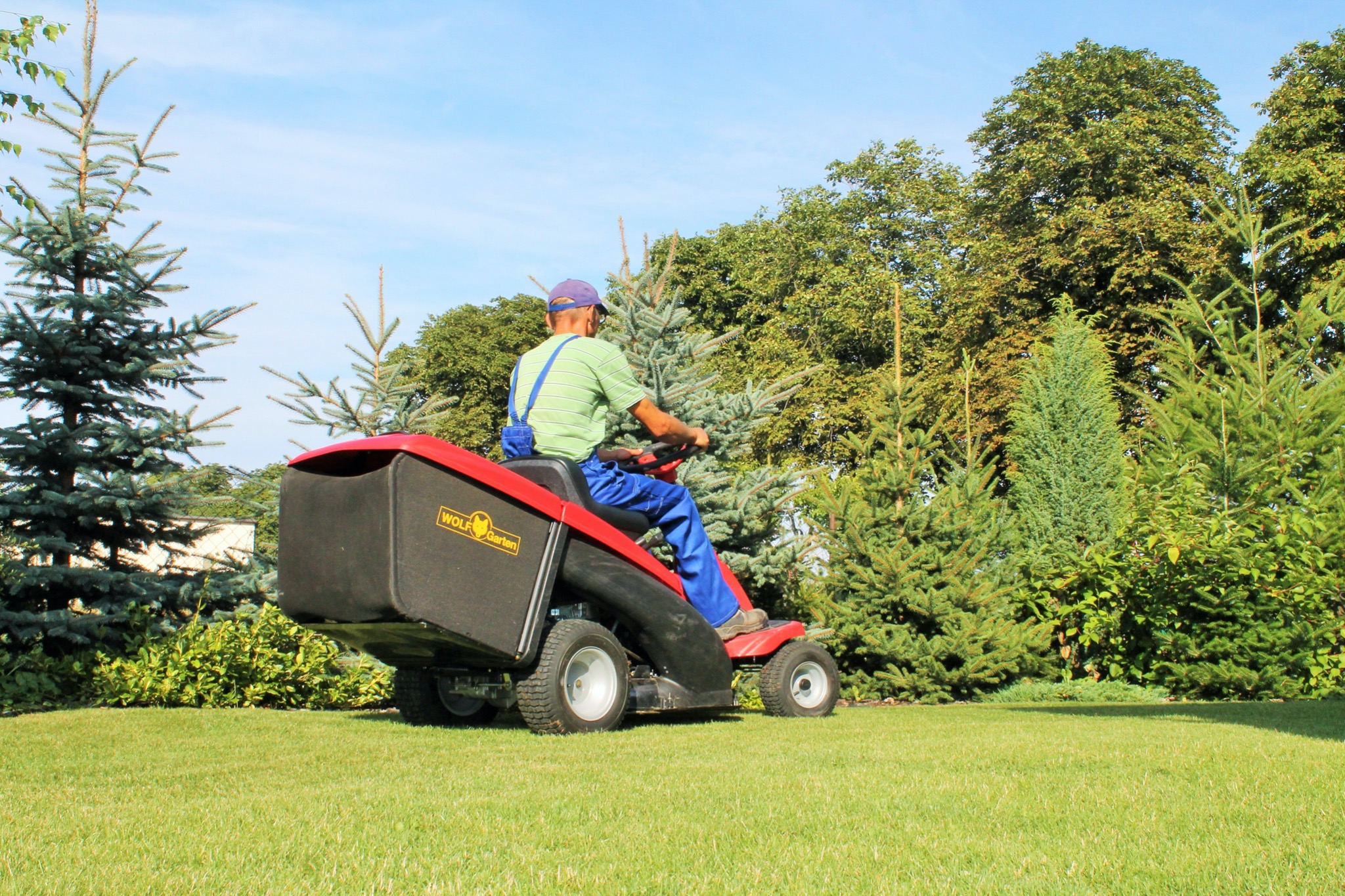 Operator kosiarki samojezdnej Wolf Garten na trawniku, w tle różnorodne drzewa iglaste i liściaste, błękitne niebo.