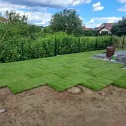 Układanie rolek świeżej, zielonej darni na przygotowanym podłożu, widoczny poziomica i częściowo ułożona powierzchnia, dom w tle.