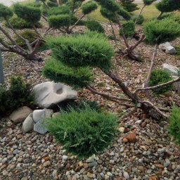 Systematyczne dbanie o rośliny przynosi najlepsze efekty