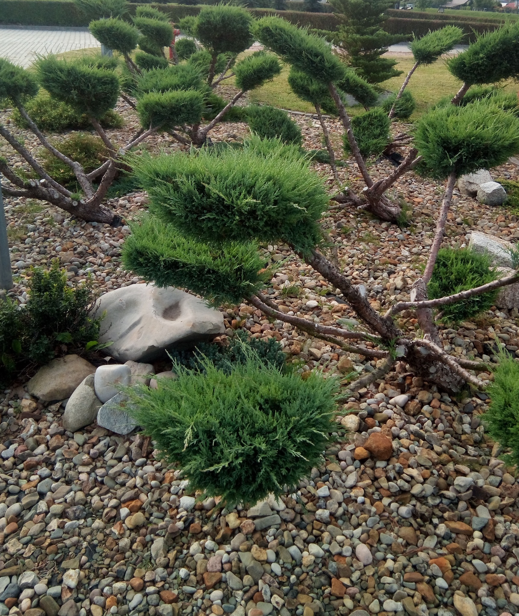 Systematyczne dbanie o rośliny przynosi najlepsze efekty