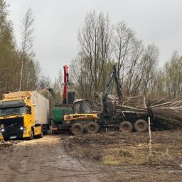 Drewno kominkowe Wrocław 3