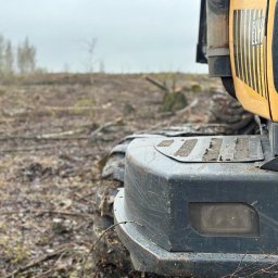 Drewno kominkowe Wrocław 4