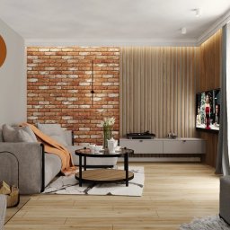 Zibinet - meble na wymiar - Nowoczesny salon