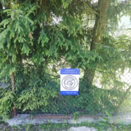 Tablica informacyjna 'Obiekt Chroniony PRETORIAN SECURITY' umieszczona na zielonej siatce ogrodzeniowej, częściowo zasłonięta przez gałęzie iglastego drzewa.