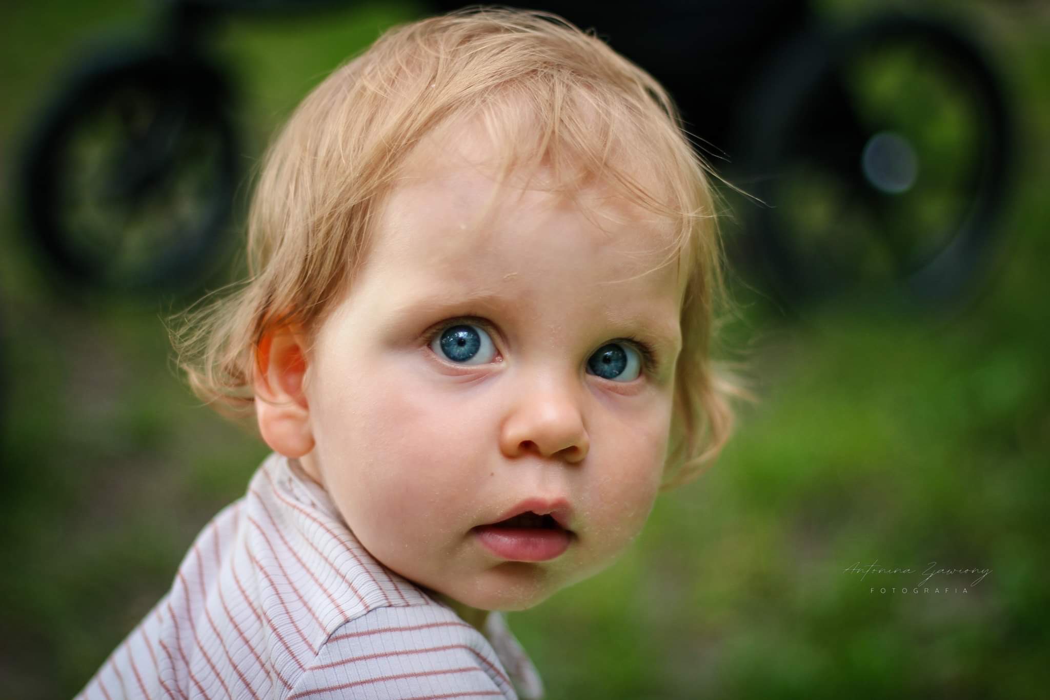 Portret jasnowłosego dziecka z intensywnie niebieskimi oczami, spoglądającego w obiektyw na tle zieleni, wykonany we Wrocławiu z lekkim rozmyciem tła.