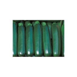 Warzywa Kołobrzeg 1