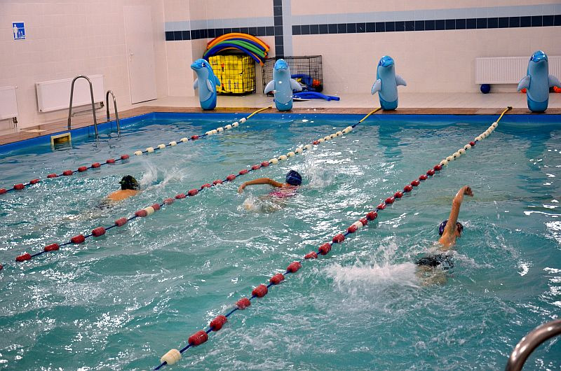 Kryty basen z trzema osobami pływającymi w oddzielnych torach, oddzielonych linami z czerwono-białymi bojkami. W tle, przy ścianie, ustawione są dmuchane delfiny.