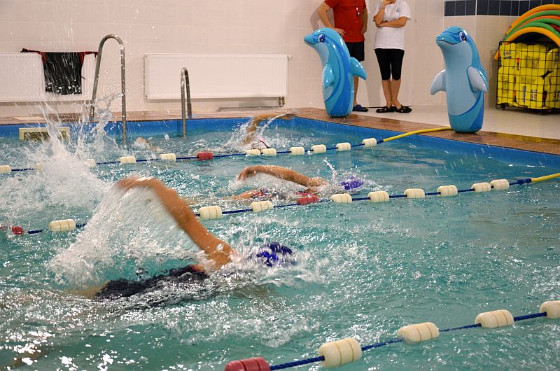 Trzech pływaków płynie stylem dowolnym w basenie, w tle dwie nadmuchiwane zabawki w kształcie delfinów i obserwatorzy.