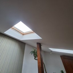 Gauba Ekspert - Poddasze z oknem dachowym w drewnianej ramie, widok z dołu. Ściana w paski, drewniany słup i roślina doniczkowa. Gładkie wykończenie sufitu.