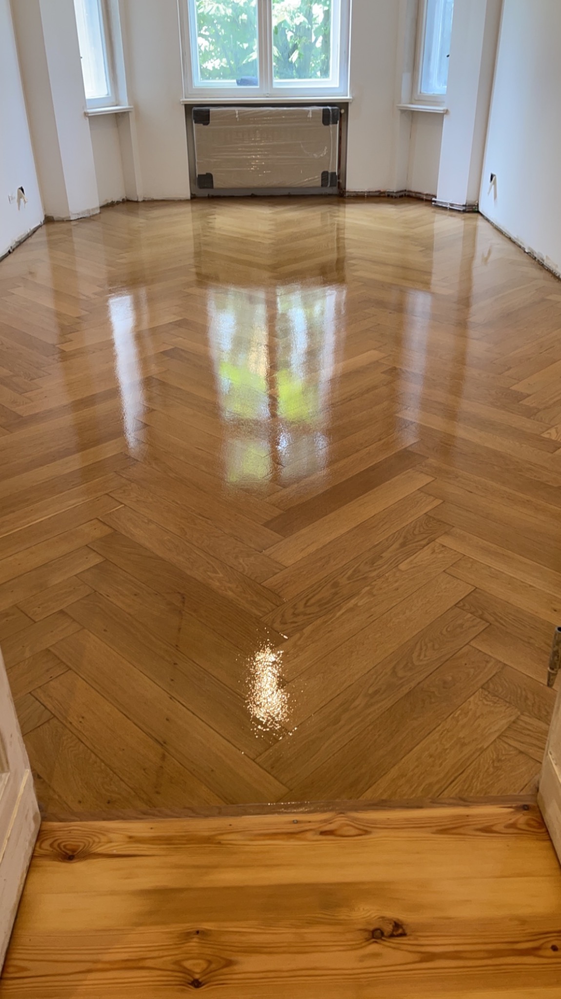 Błyszcząca, świeżo polakierowana parkietowa podłoga ułożona w jodełkę, z widocznym odbiciem okna i drzew. Grzejnik zabezpieczony folią malarską.