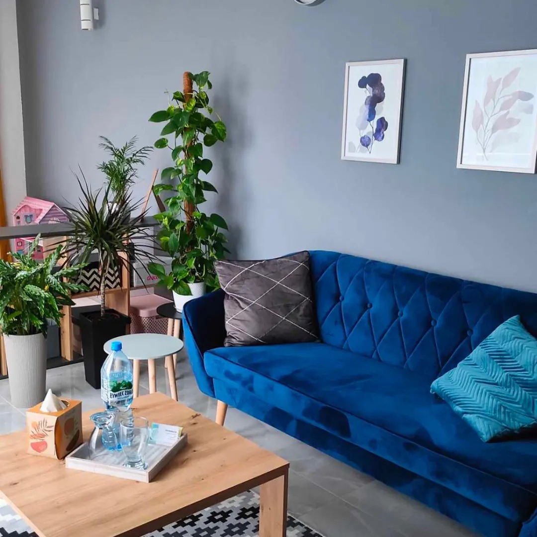 Jasnoszary pokój z niebieską, aksamitną sofą, drewnianym stolikiem kawowym z wodą Żywiec Zdrój i szklankami, oraz roślinami doniczkowymi i obrazami w ramkach na ścianie.