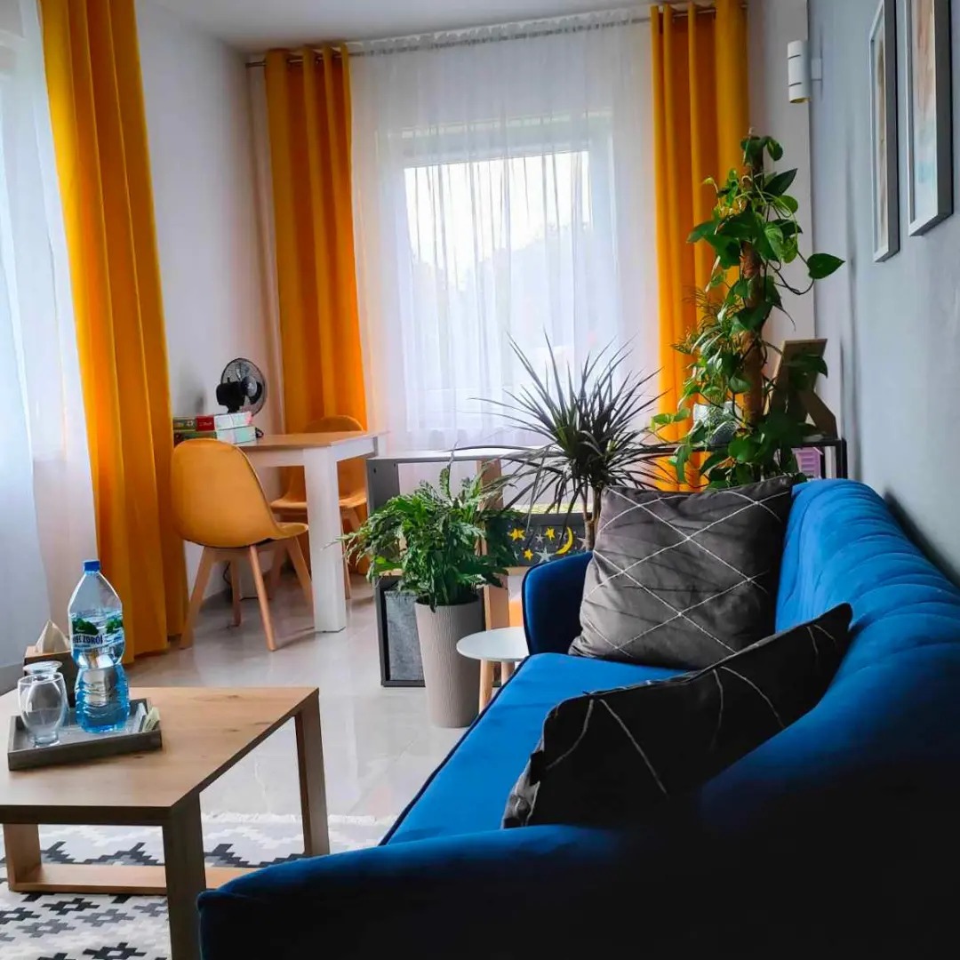 Jasne wnętrze pokoju dziennego z niebieską sofą, drewnianym stolikiem kawowym z wodą mineralną i szklankami, żółtymi zasłonami oraz licznymi roślinami doniczkowymi.