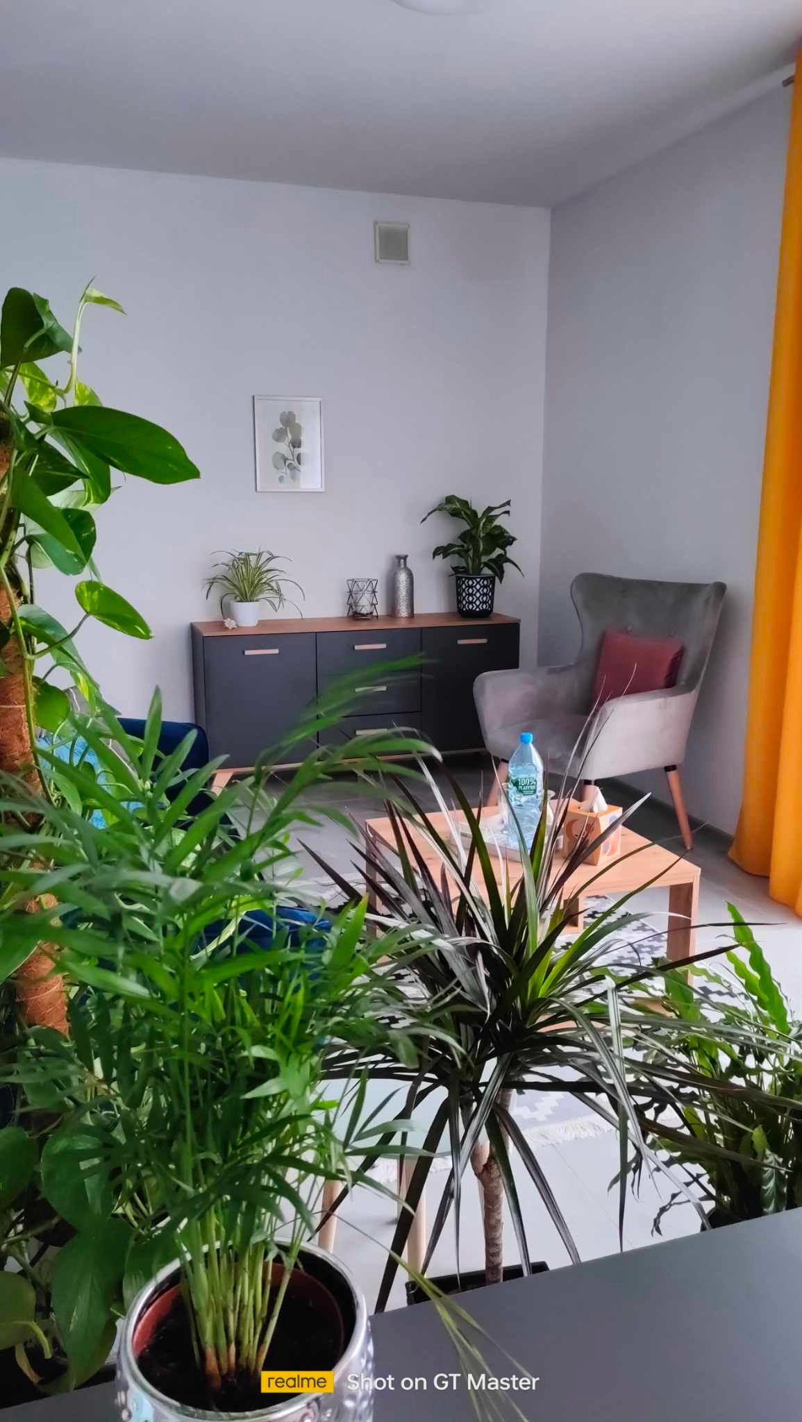 Pokój terapeutyczny z fotelem, stolikiem kawowym i roślinami doniczkowymi, butelka wody na stoliku, ściany w odcieniach szarości, żółta zasłona w tle.