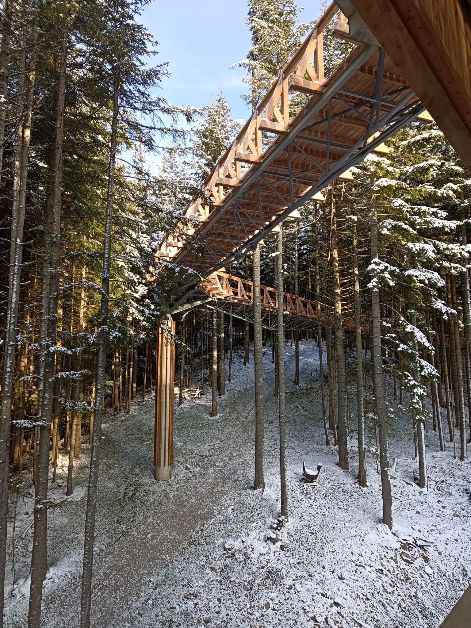 Kładka widokowa w lesie, konstrukcja stalowo-drewniana z drewnianym pomostem, śnieg na drzewach i ziemi, widok z dołu na kładkę.