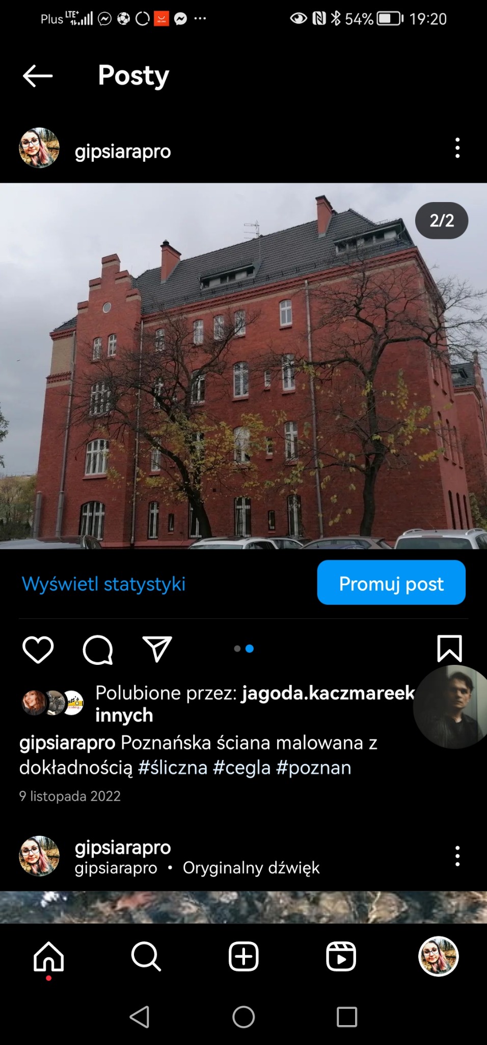 Ceglana ściana budynku w Poznaniu, pomalowana z dbałością o detale, widoczne drzewa z jesiennymi liśćmi.