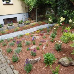 Pielęgnacja ogrodów Kozy 1