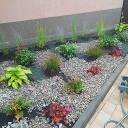 Pielęgnacja ogrodów Kozy 3