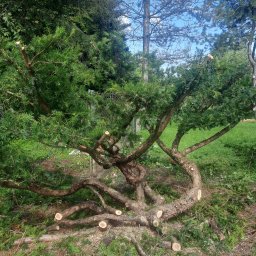 Pielęgnacja ogrodów Kozy 4